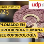 Diplomado en Neurociencia Humana y Neuropsicología.