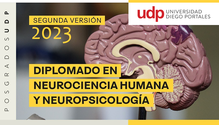 Diplomado en Neurociencia Humana y Neuropsicología.